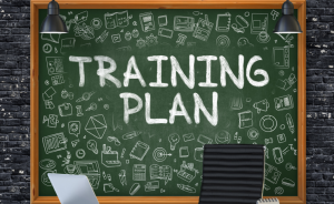 transition-planning-csre-2400-clearline-consulting